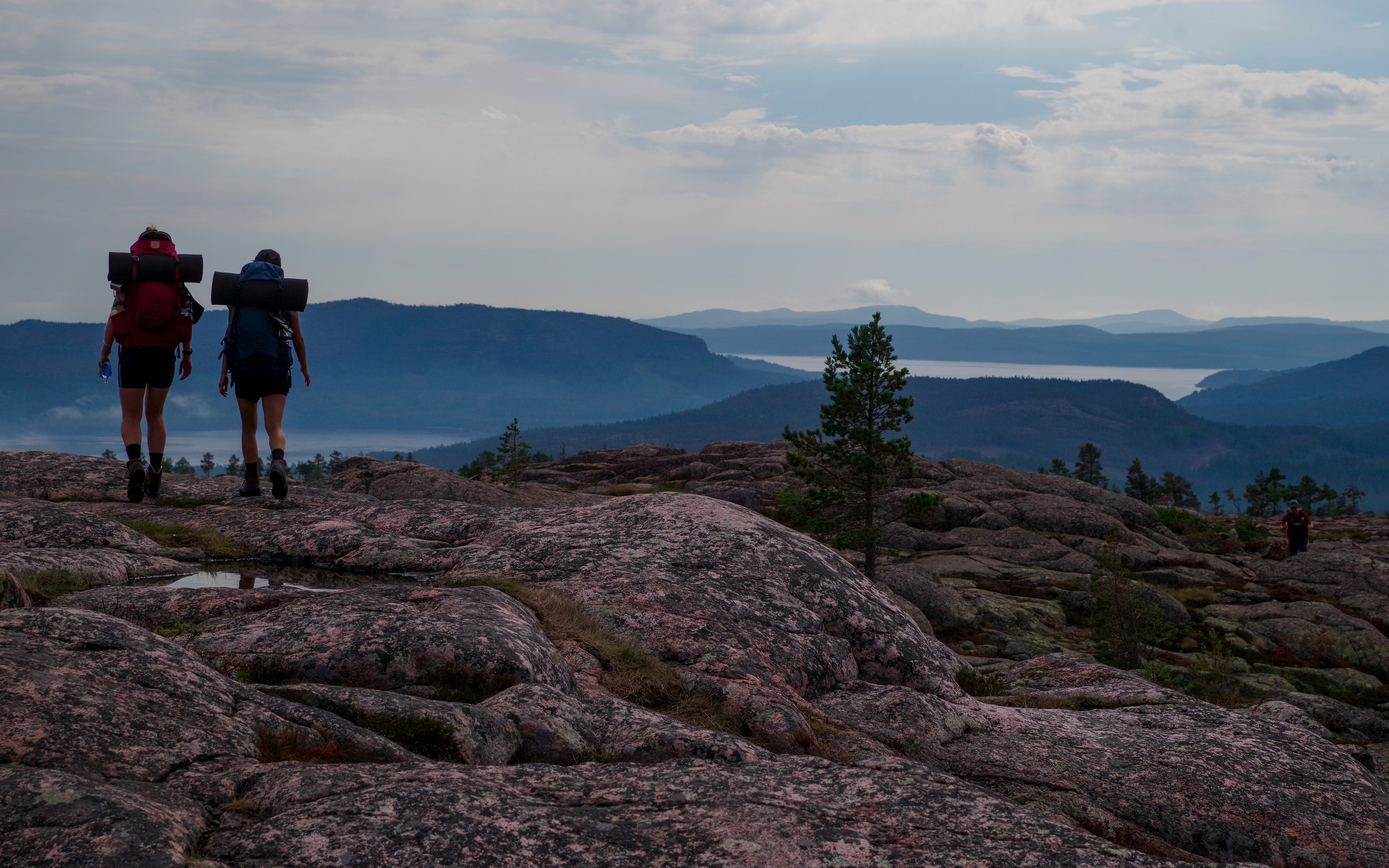 High coast sale trail shorts